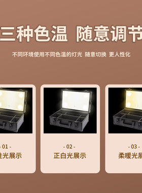 专业化妆箱跟妆镜子带灯收纳