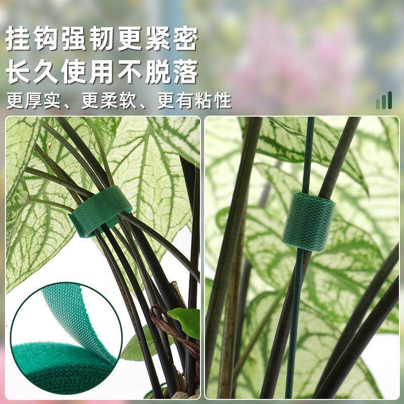 植物绑带绿植龟背芋爬藤固定器绑带园艺捆扎带绑花造型扎带双面粘,淘宝优惠券,粉丝福利购,淘宝优惠卷