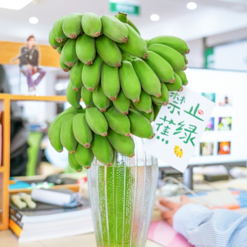 整串办公室水培香蕉禁止蕉绿芭蕉桌面绿植静止小米蕉可食用拒绝-图1