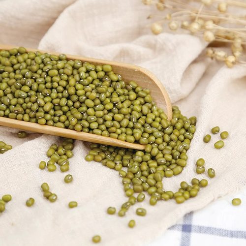 盖亚农场 新货绿豆1斤东北发芽专用绿豆新鲜可脱皮批发杂粮绿豆 - 图3