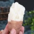 山东哈密冰糖薯新鲜白薯9斤老品种红薯白心超甜沙地板栗蜜薯地瓜 图片 2