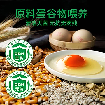 茉莉花茶叶蛋15枚*40g*1箱[9元优惠券]-寻折猪