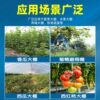 Non-drip film white transparent special greenhouse film