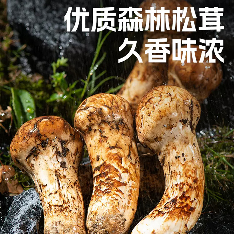 莲花松茸鲜100g复合调味料代替鸡味精炒菜家用煲汤菌菇粉 - 图1