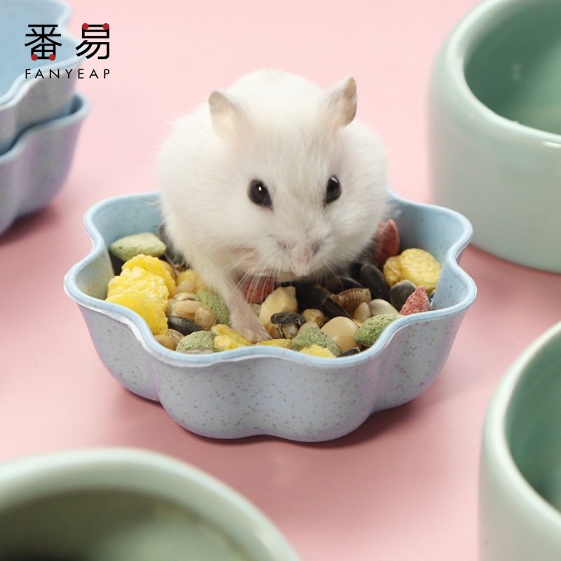 食盆/仓鼠A1vl001-金丝熊防翻仓鼠饲料盒松鼠食盆花枝鼠仓鼠笼配,淘宝优惠券,粉丝福利购,淘宝优惠卷