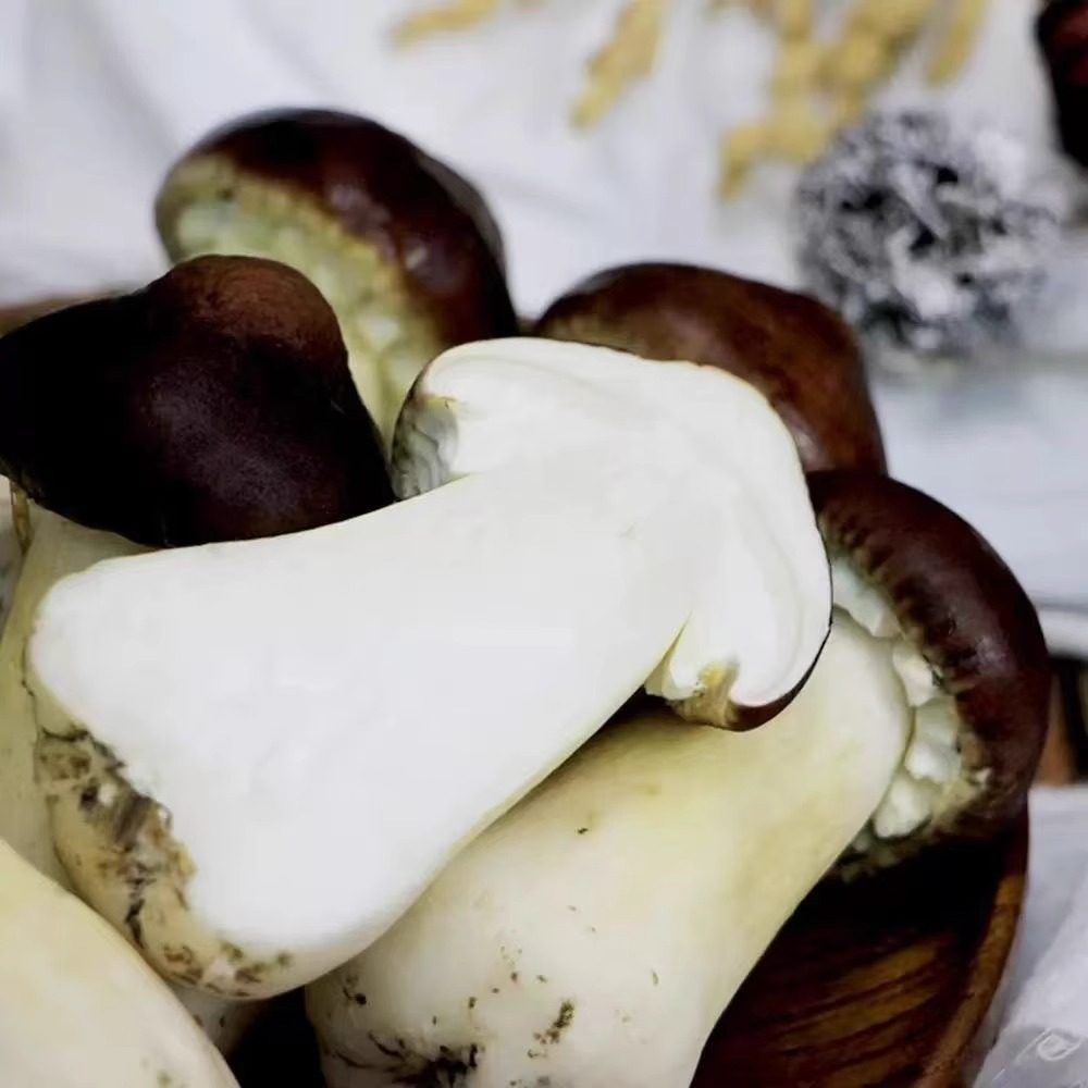 顺丰包邮 2025新鲜赤松茸食用菌菇2斤非野生姬松茸煲汤火锅炒菜鲜,淘宝优惠券,粉丝福利购,淘宝优惠卷