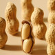 Laojiekou peanut garlic flavor milk flavor