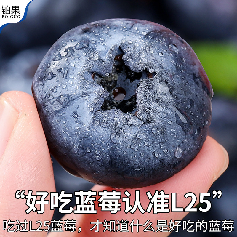 顺丰云南蓝莓新鲜水果蓝莓王12盒现摘花香当季怡颗鲜果整箱包邮甜,淘宝优惠券,粉丝福利购,淘宝优惠卷