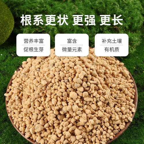 鹿沼土整包进口铺面鹿沼土颗粒小多肉铺面石种植土肉肉专用土硬质 - 图0