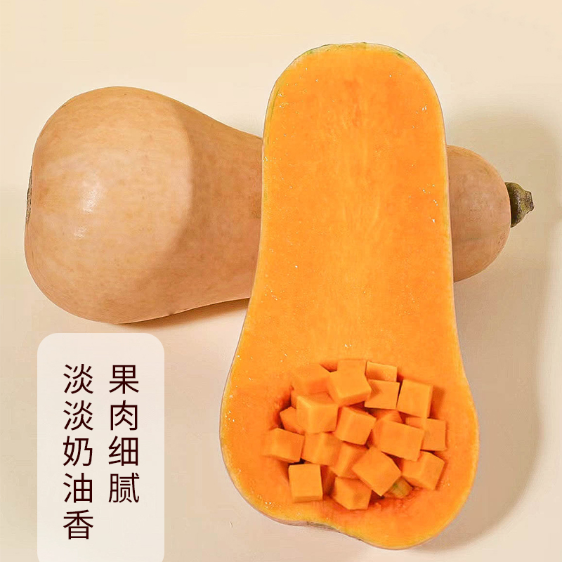 正宗奶油小南瓜9斤 当季新鲜现摘农家老南瓜香甜软糯宝宝辅食包邮 - 图0
