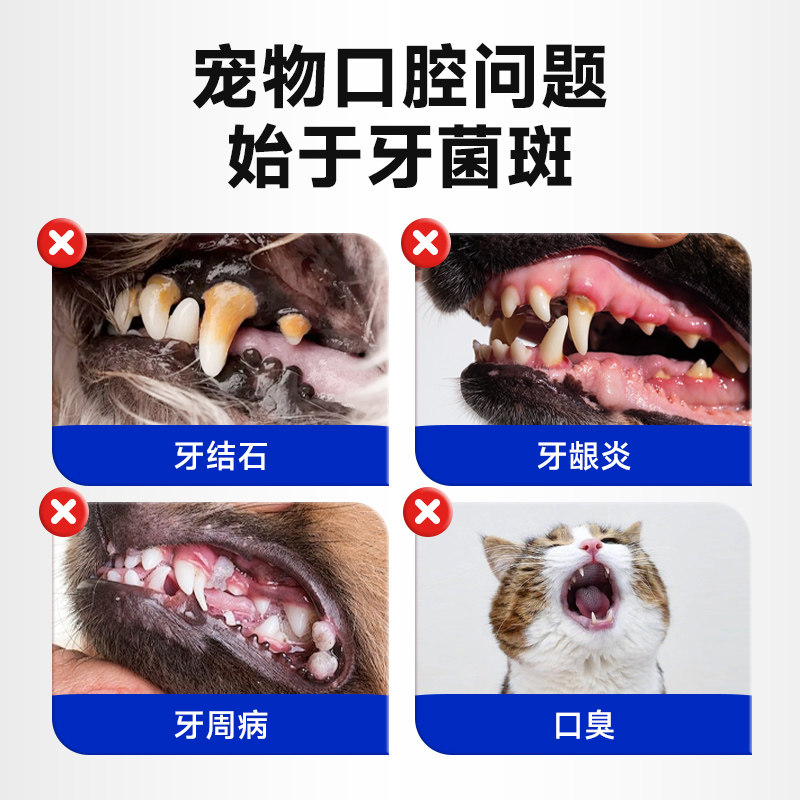 拜达尔宠物牙膏猫咪狗狗牙刷套装除口臭专用可食用牙齿清洁用品,淘宝优惠券,粉丝福利购,淘宝优惠卷
