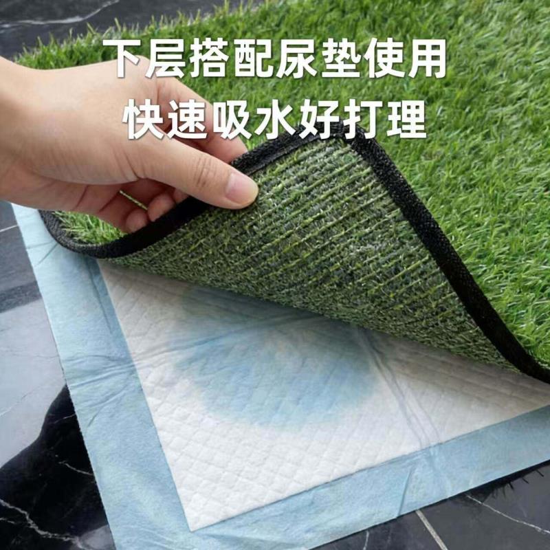 Dog lawn toilet simulation pee pad lure