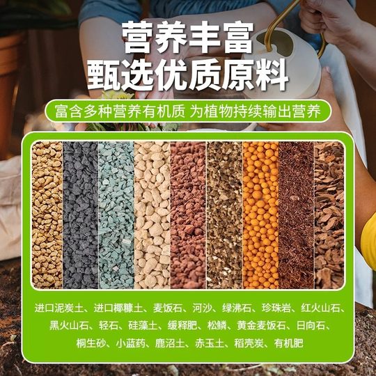 Terreau granulaire spécial pour plantes succulentes et terre nutritive pour plantes succulentes