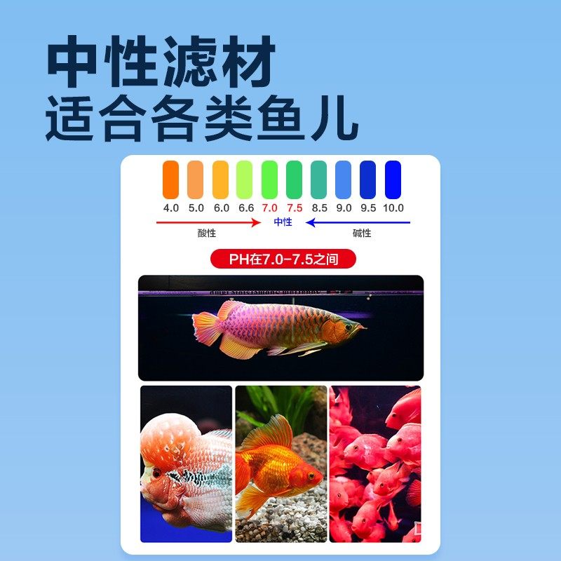 鱼缸过滤材料硝化细菌屋底滤鱼池周转箱过滤器净水系统培菌滤材,淘宝优惠券,粉丝福利购,淘宝优惠卷