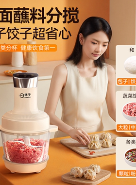 绞肉和面碎菜多功能一体机