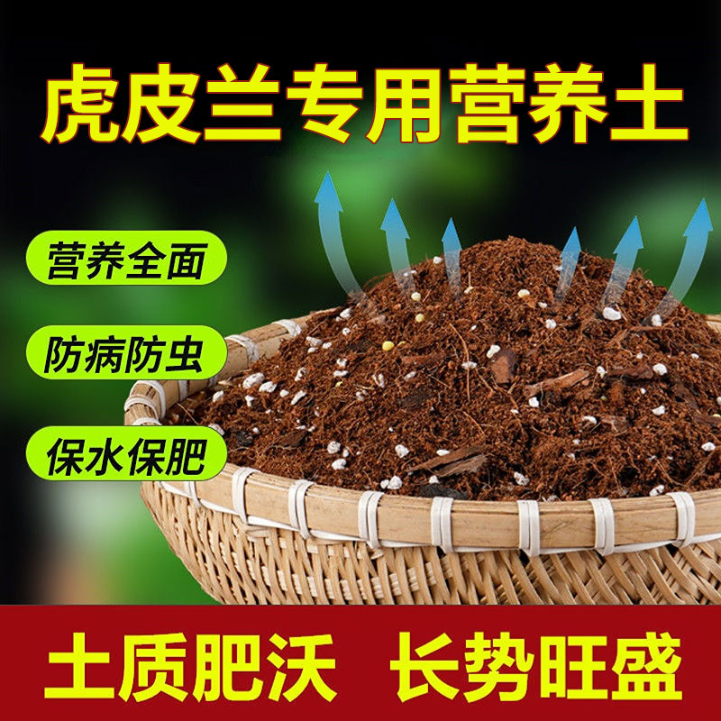 花大师虎皮兰专用土营养土金边种植土壤盆栽花土进口泥炭轻质蓬松 - 图0