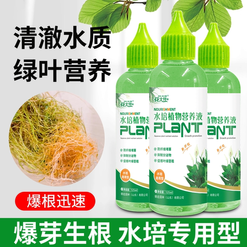 水培植物专用营养液富贵竹转运竹巴西木郁金香绿萝铜钱草通用肥料 - 图0