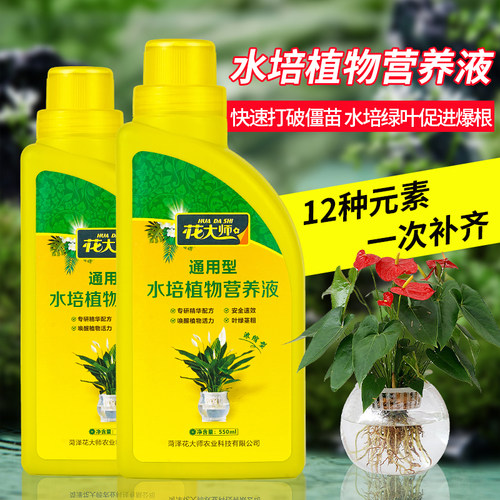 水培植物营养液富贵竹专用水养转运竹巴西木郁金香种球绿萝花肥料 - 图3
