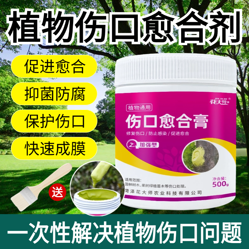 植物伤口愈合剂树木果树嫁接盆景树枝剪修苗木花卉切口兰花愈合膏,淘宝优惠券,粉丝福利购,淘宝优惠卷
