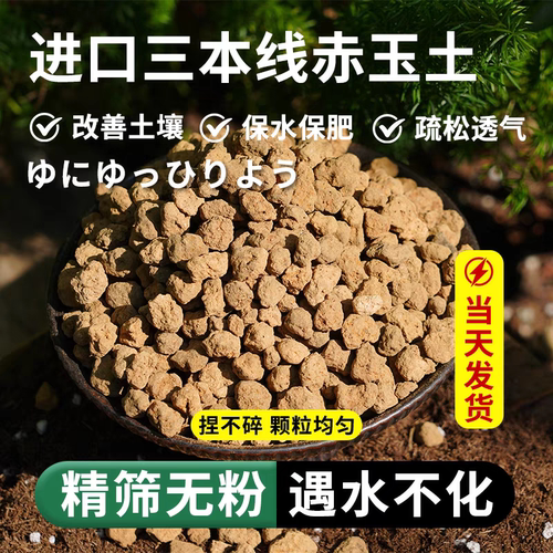 【真空分装】赤玉土三本线日本原装进口营养土专用铺面多肉盆景土 - 图0