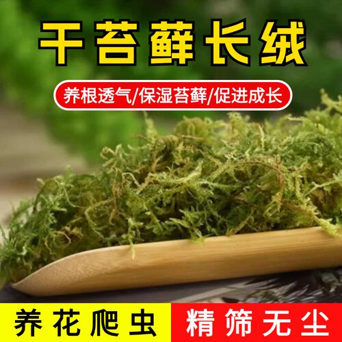 天然干苔藓青苔养花专用兰花铺面花盆铺面苔藓水苔宠物垫材专用土 - 图2