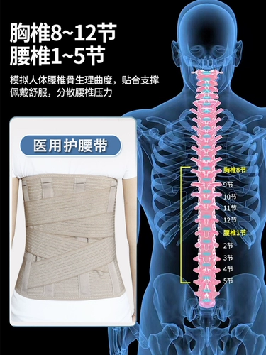 Медицинская поясничная поддержка поясничных позвоночных поясничных позвоночных поясничных