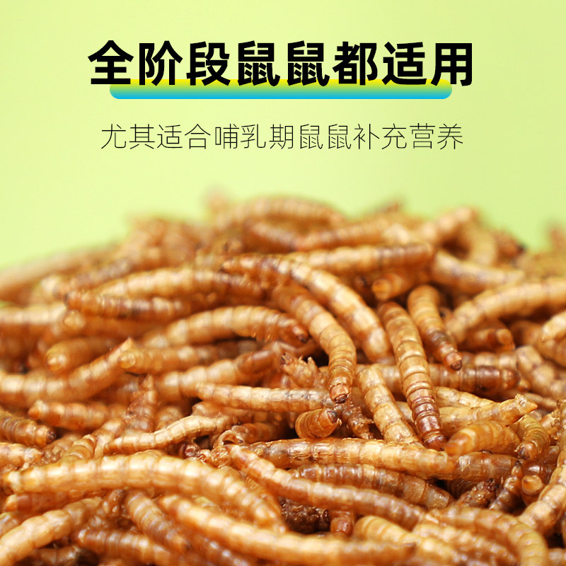 仓鼠粮食饲料面包虫干金丝熊黄粉虫营养健康小零食用品,淘宝优惠券,粉丝福利购,淘宝优惠卷