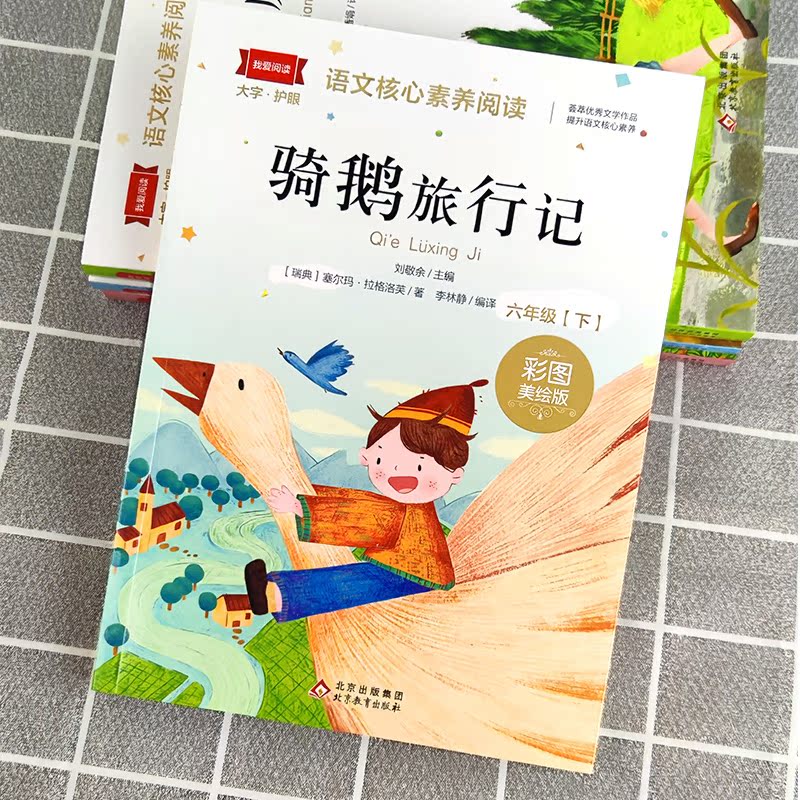 【新疆包邮】快乐读书吧六年级下册全套4册鲁滨逊漂流记爱丽丝漫游奇境骑鹅旅行记汤姆索亚历险记原著正版小学非必读课外阅读书目