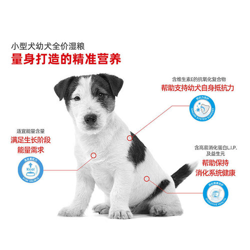 【自营】皇家狗湿粮小型中型成犬幼犬粮主食湿粮包营养全价狗主粮 - 图1