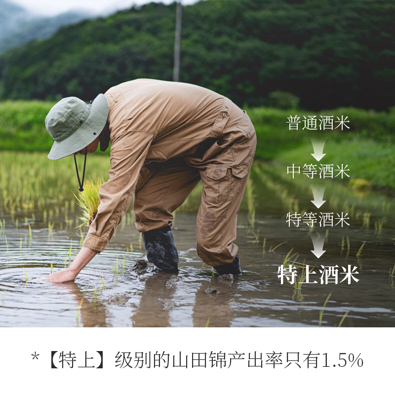 酿人九平次黑田庄五星【特上】山田锦酿造得力之作纯米大吟酿清酒