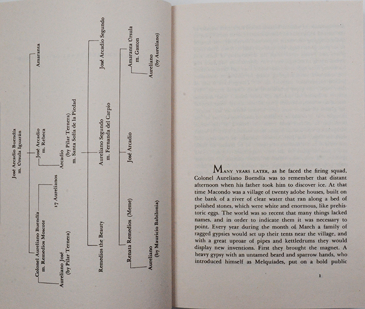 【现货】One Hundred Years of Solitude 百年孤独 Gabriel Garcia Marquez 马尔克斯 诺贝尔文学奖得主代表小说 英版进口 原版 - 图2