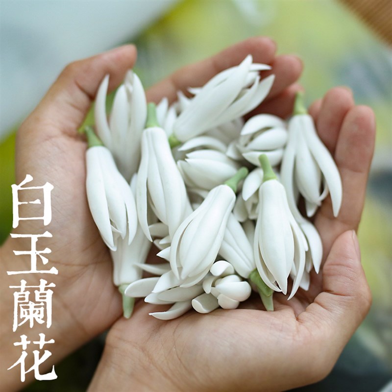 创意茶宠白c玉兰花茶席摆件装饰笔搁 茶玩精品手捏陶瓷花礼品茶搁