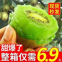 Jiangshan Xu XiangMi Exotic Fruit Seeking fresh fruit with box 5 catties of green heart chic exotic fruit whole box
