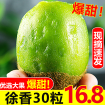 Brow County Xu Xiangqi Exotic Fruits Fresh Fruits When Season Full Box Authentic stage Pregnant Woman Clay Macaque Exotic Fruits