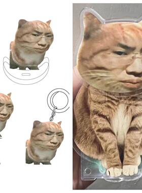 听泉猫摇头恶搞桌面车载摆件车听泉鉴宝直播同款装饰新鲜哥听泉猫