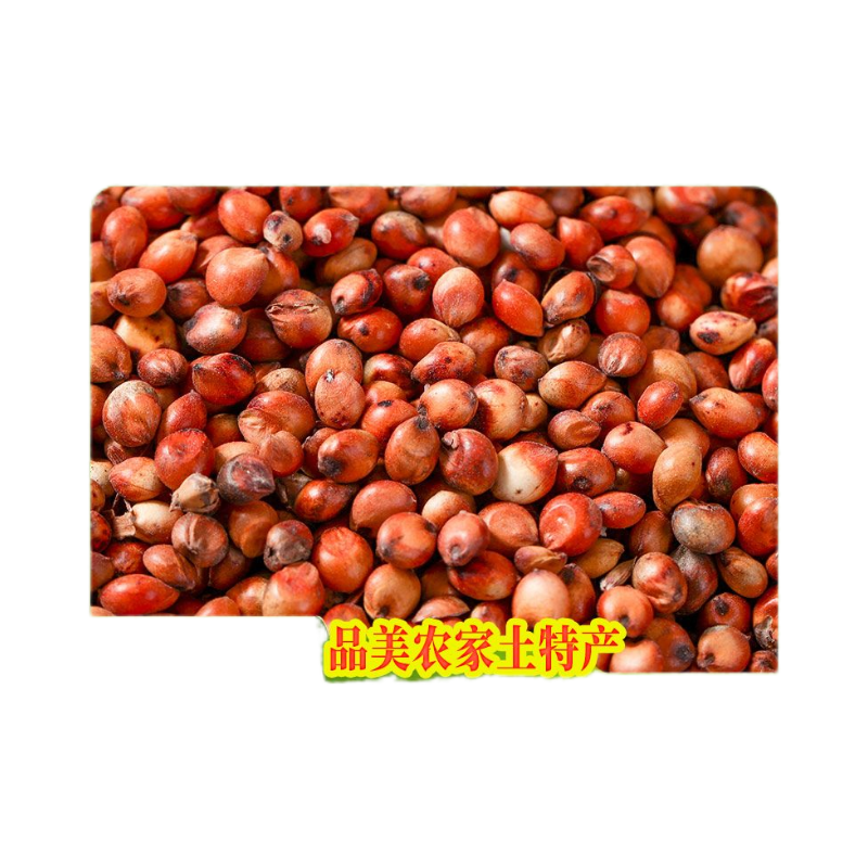 当季东北红高梁100斤装酿酒50斤未脱皮新高梁5斤喂鸽子饲料10kg,淘宝优惠券,粉丝福利购,淘宝优惠卷