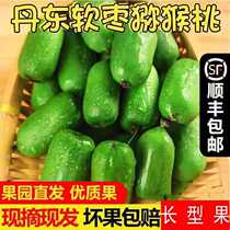 Dandong Soft date macaque Peach Fresh Fruit Chic Exotic Fruit Raspberry Northeast Special Wild Kiwi Fruit Peach Soft Date Round Date