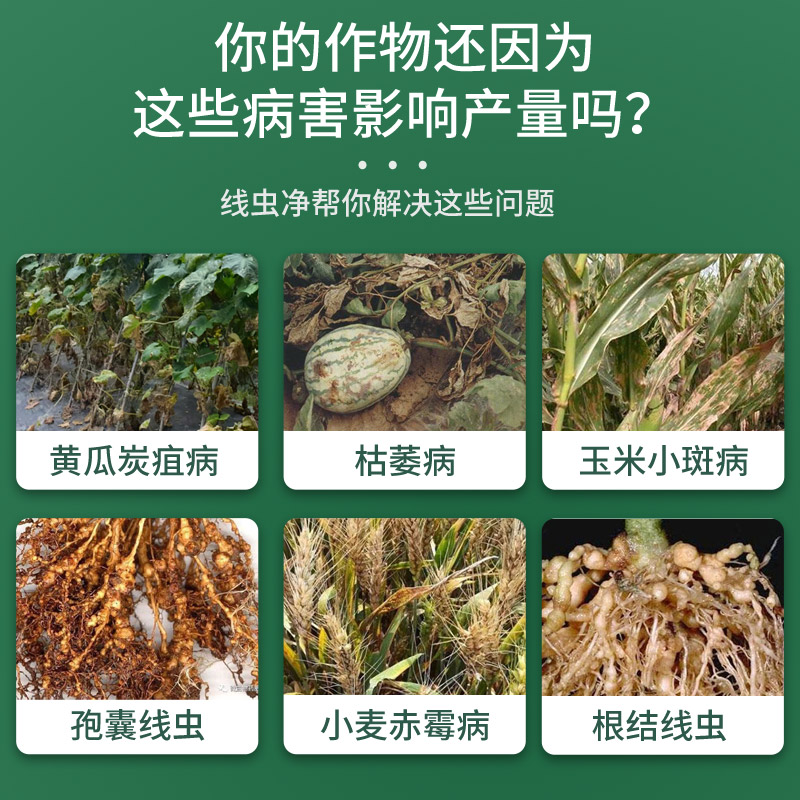 农用物资微生物肥料线虫净微生物菌剂有效活菌数10亿/g拌肥