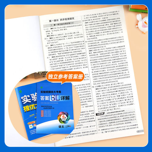 2026实验班提优大考卷初中七八九年级上下册语文数学英语译林物理化学人教版苏科译林科学浙教版同步试卷测试卷全套期中期末必刷题 - 图2
