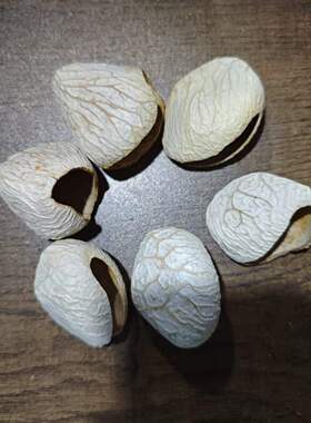 印尼黑果壳白色(已磨口)风铃diy材料包果实摇铃工制作铃pang精品