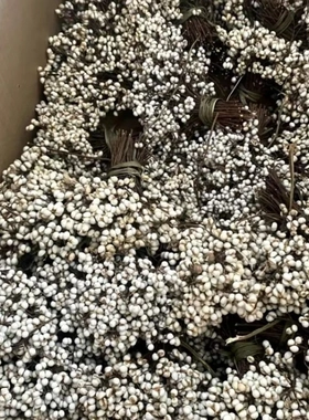 小白果乌桕果薏米果干花室内装饰摄影道具DIY圣诞花环森系材料包
