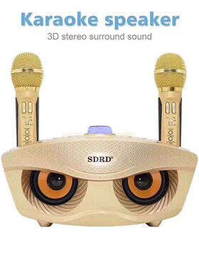 SD 306 Portable Family Karaoke System Two Wireless Microphon