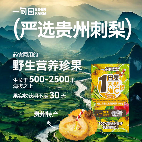 一甸园贵州刺梨小青柠味100%复合果蔬汁VC果汁饮料125mL*6盒 - 图3