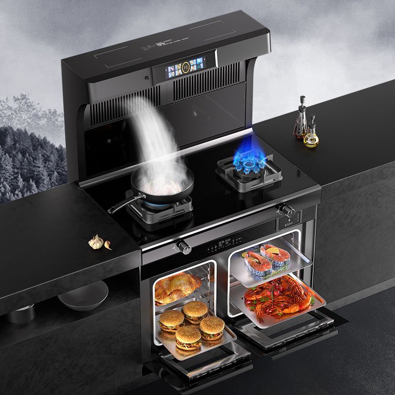  新飞谛杨集成灶