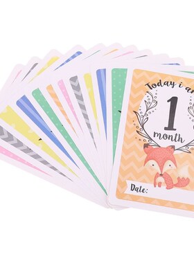 12 Sheet Milestone Photo Sharing Cards Gift Set Baby Age Car