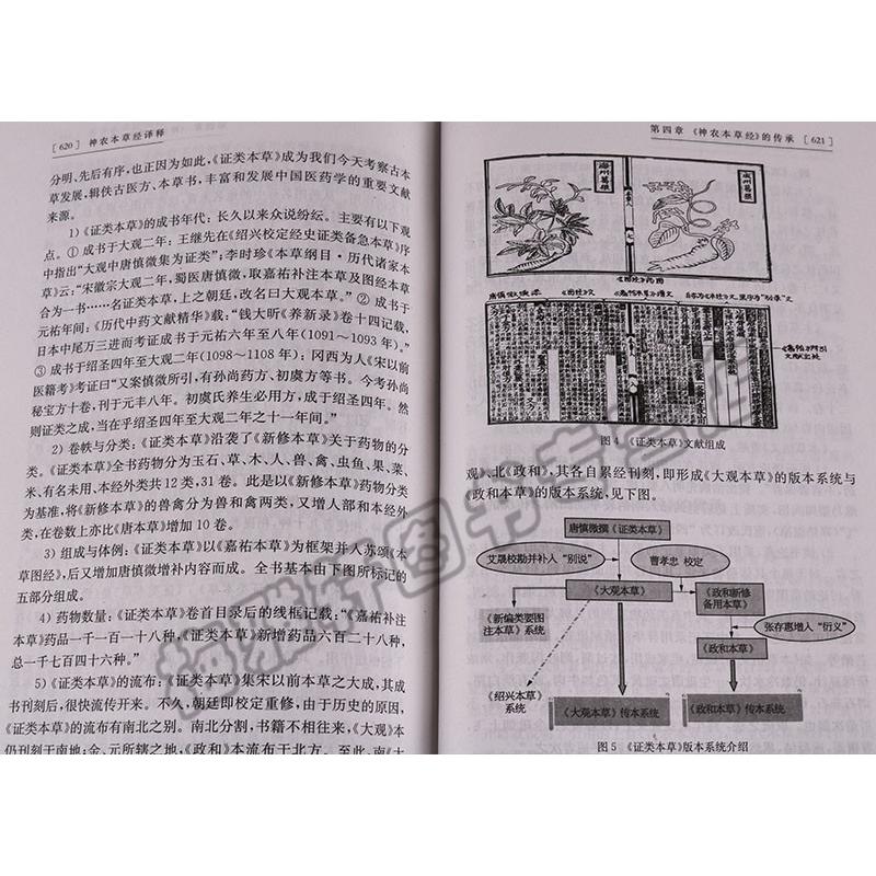 正版  神农本草经译释 实用原版注释白话译文辑注中药大全中草药 - 图3