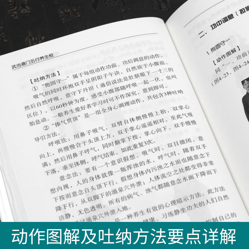 正版 武当道门五行养生桩 刘理航传授 岳武整理 站桩书籍 站向健 - 图2