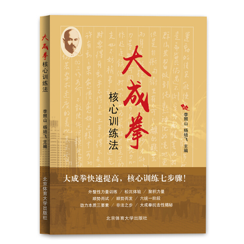 共4本大成拳站桩养生之道张东宝著大成拳五形动功大成拳核心训练 - 图2