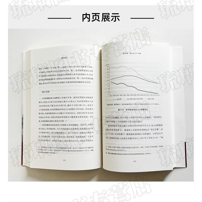 置身事内 中国政府与经济发展 兰小欢著 罗永浩王烁等联袂推 荐复 - 图0