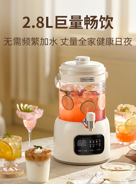 大宇2.8L高硼硅恒温可分离养生壶